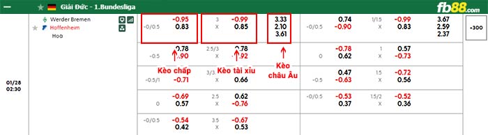 fb88 bảng kèo trận đấu Bremen vs Hoffenheim
